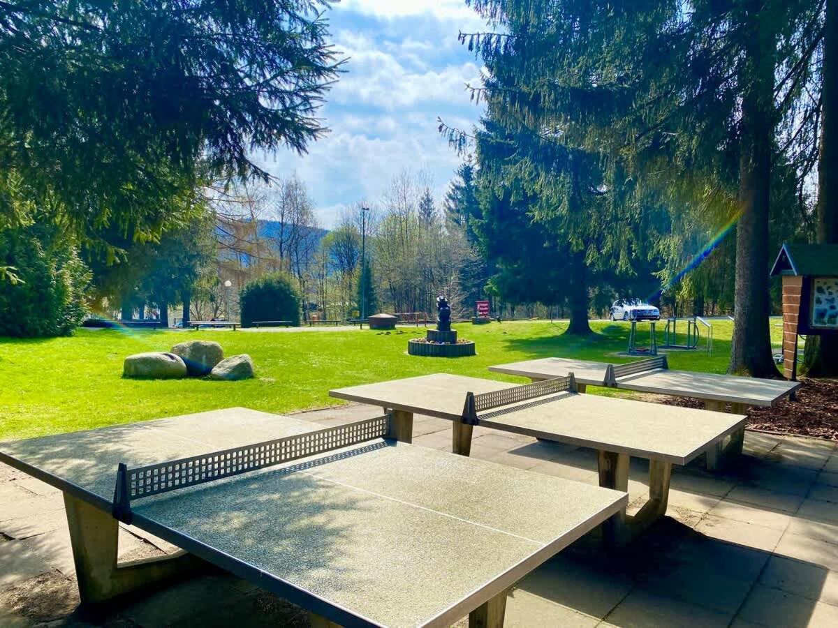 Relaxapartments Abendsonne Im Herzen Des Harzes - Ein El Dorado Fuer Wanderer, Biker Und Ruhesuchende - Mit Sonnigem Balkon Und Platz Fuer Bis Zu 3 Personen Goslar Extérieur photo