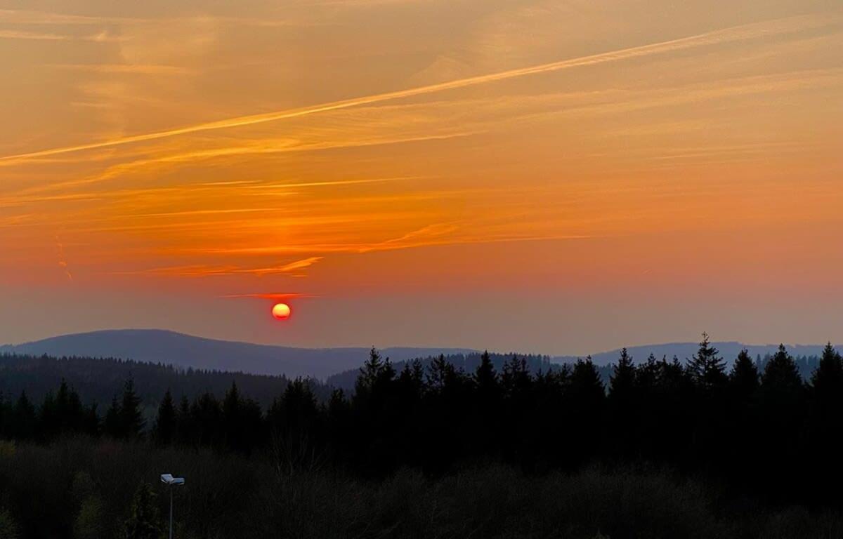 Relaxapartments Abendsonne Im Herzen Des Harzes - Ein El Dorado Fuer Wanderer, Biker Und Ruhesuchende - Mit Sonnigem Balkon Und Platz Fuer Bis Zu 3 Personen Goslar Extérieur photo
